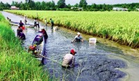 Phát triển ngành hàng tôm ít phát thải và bền vững